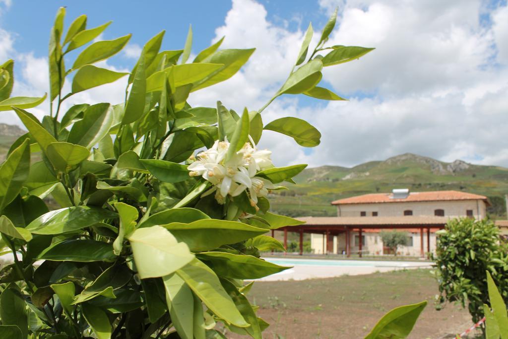 Tenuta Lanza Il Mulino Acquaviva Platani 外观 照片