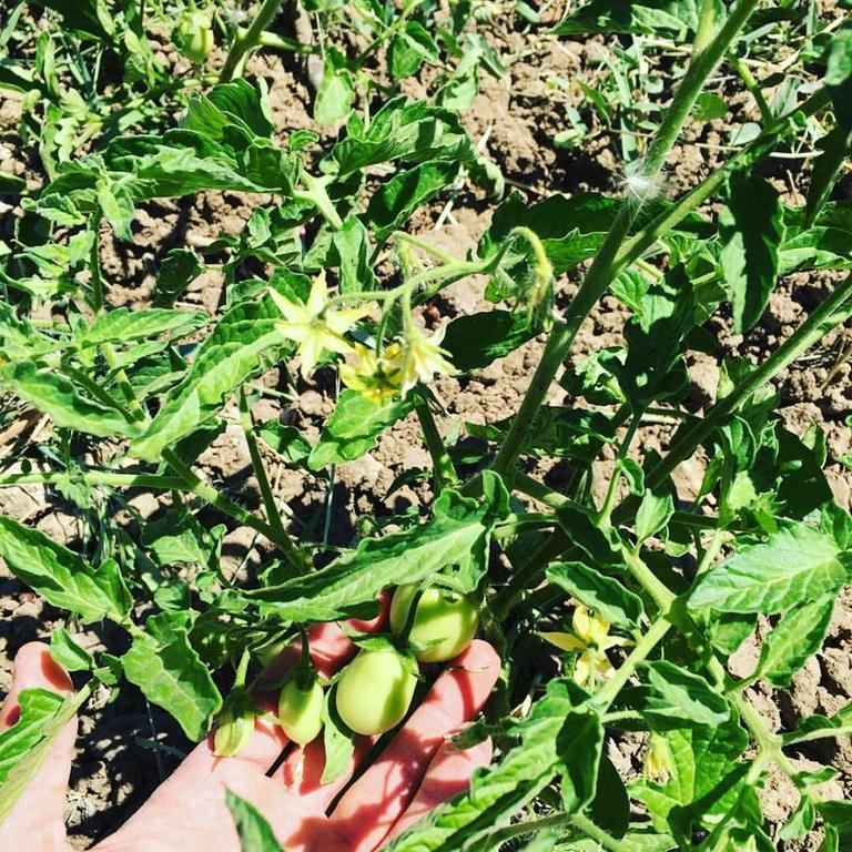 Tenuta Lanza Il Mulino Acquaviva Platani 外观 照片