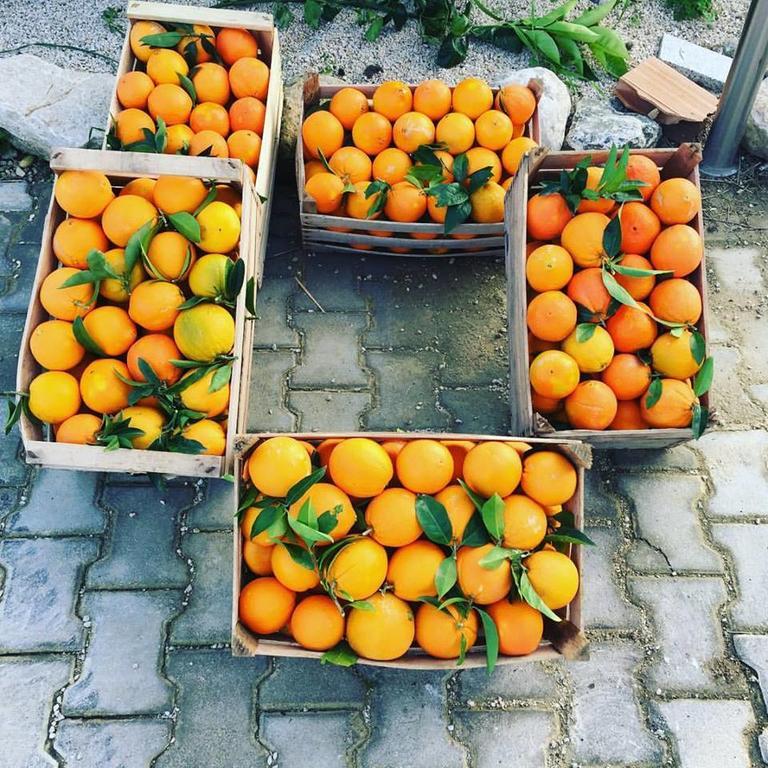 Tenuta Lanza Il Mulino Acquaviva Platani 外观 照片